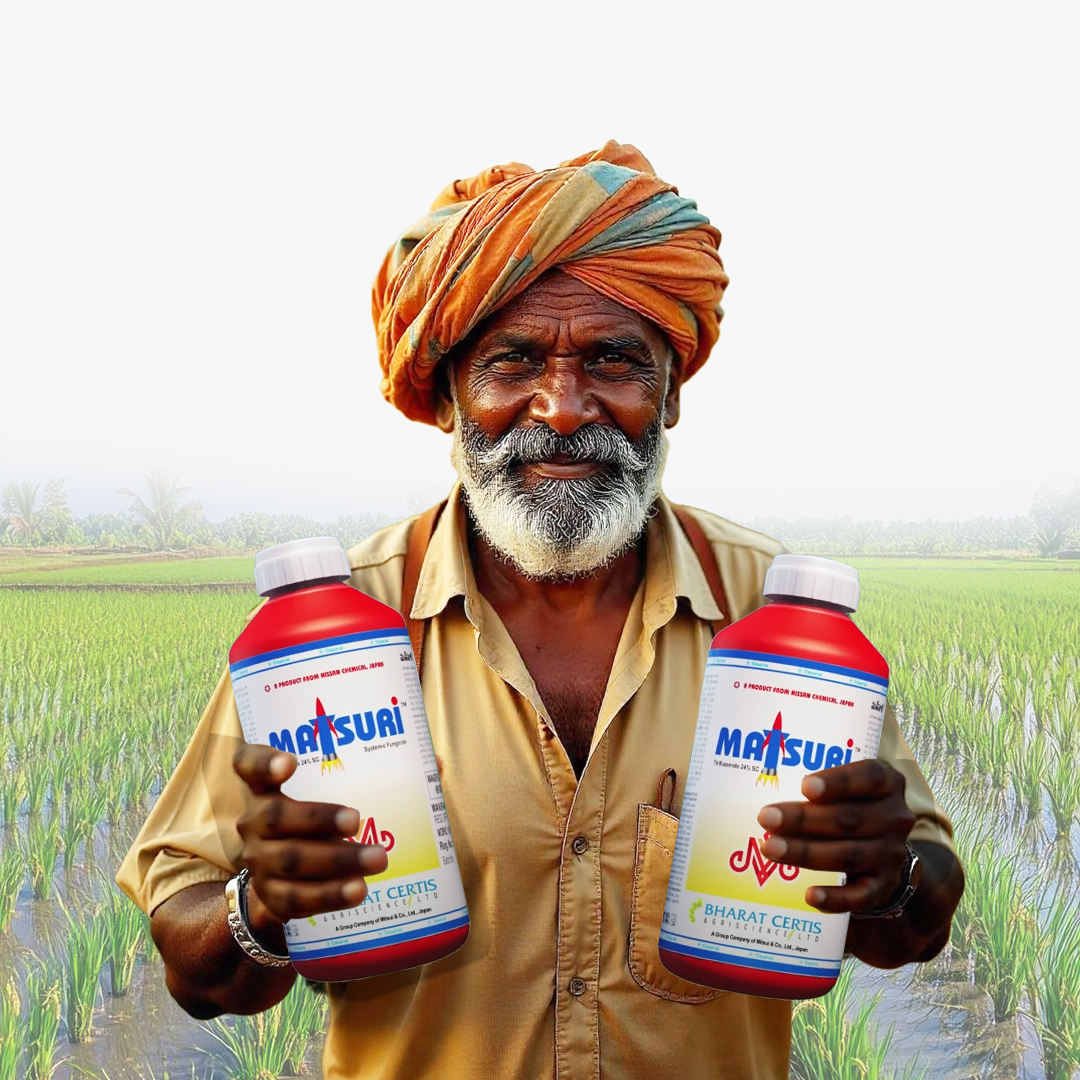 Sheath Blight in Rice